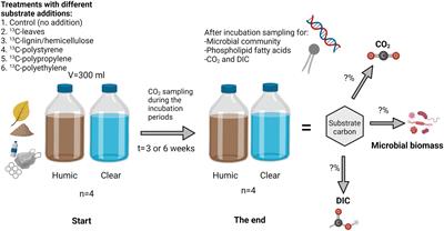 Decomposition rate and biochemical fate of carbon from natural polymers and microplastics in boreal lakes